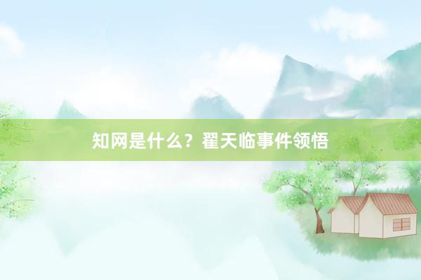 知网是什么？翟天临事件领悟