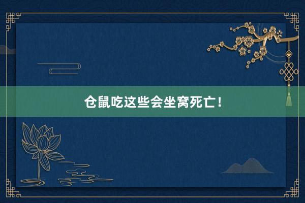 仓鼠吃这些会坐窝死亡！